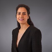 Staff photo Fatemeh Sadjadi