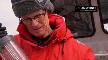 Film: Se film om Johan Wikners forskning