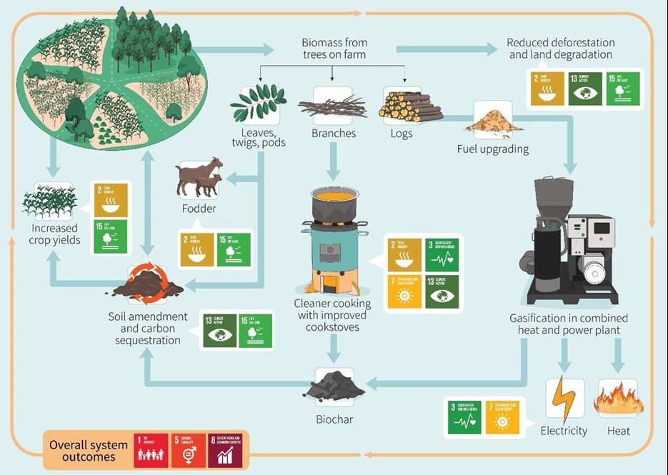 system över bioenergi