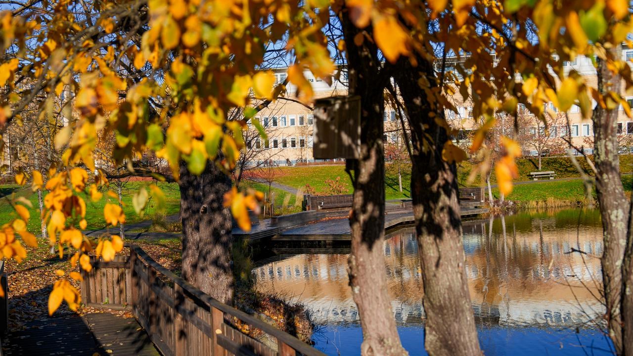 Campus i höstfärger