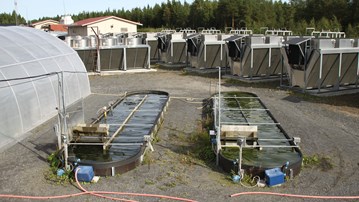 Två mindre bassänger utomhus.
