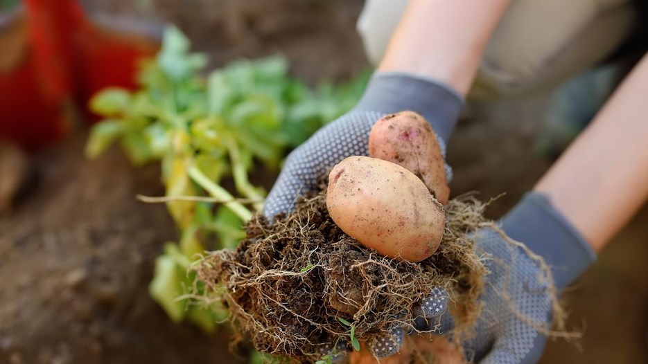 En bild som illustrerar temat