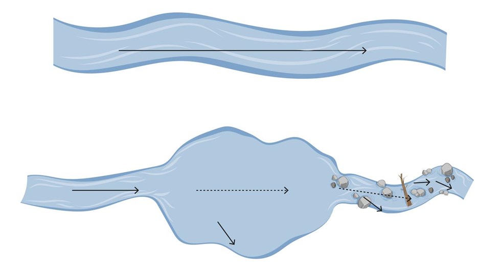 En illustration över naturliga barriärer i vattendrag.