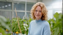 Åsa Strand