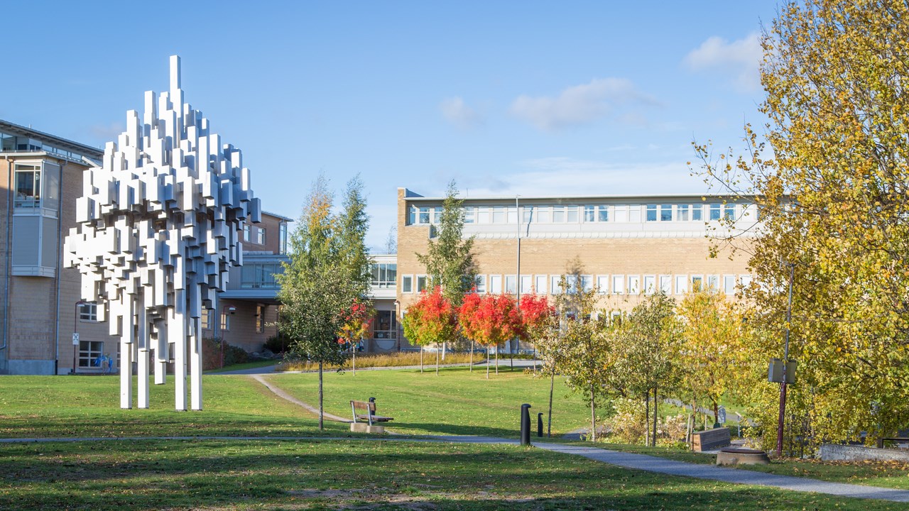 Bild på höstfärger på campus