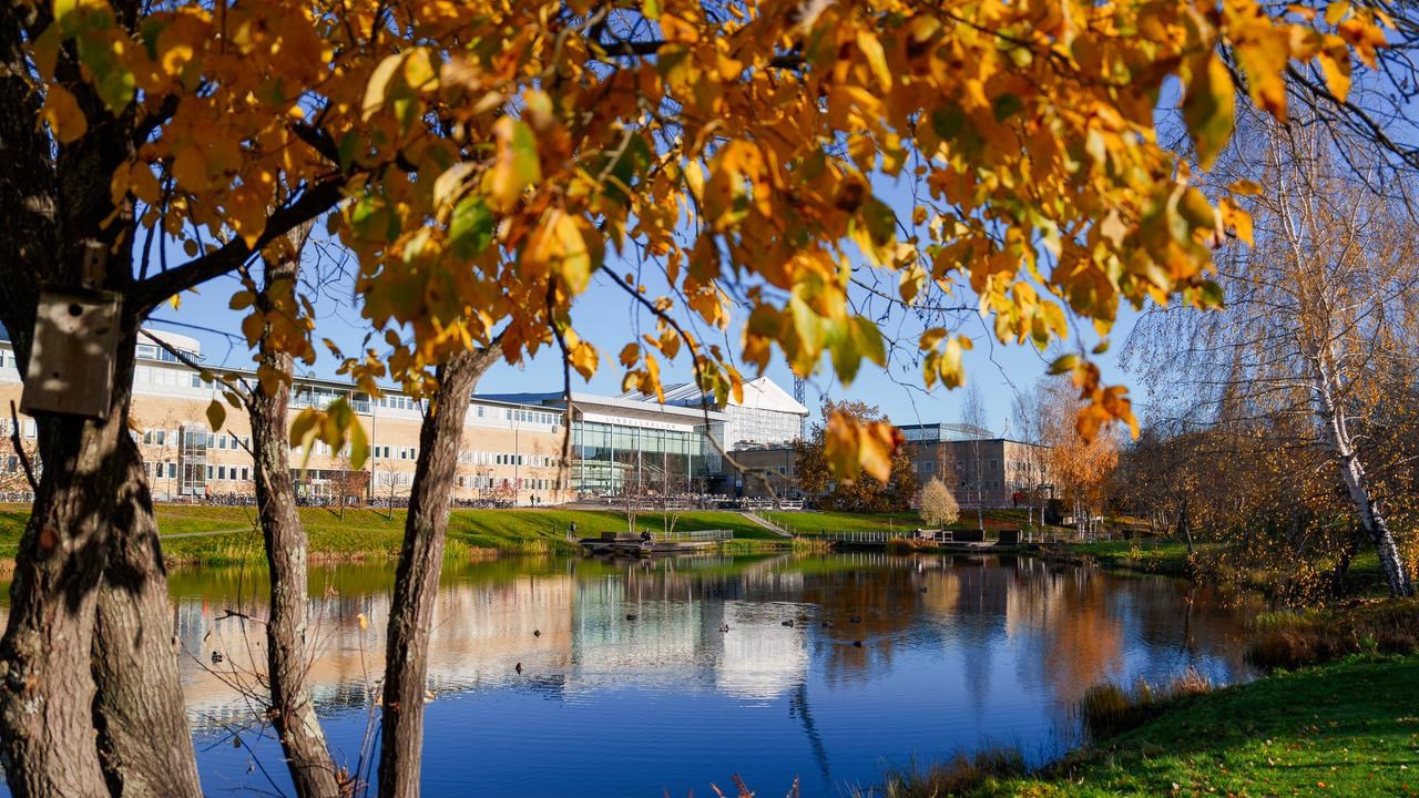 Campus i höstfärger