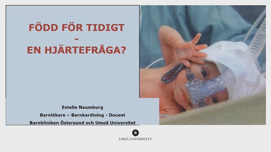 Film: Estelle Naumburg