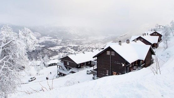 Fyra bruna stugor med snö på taken. De står i ett landskap helt vitt av snö.