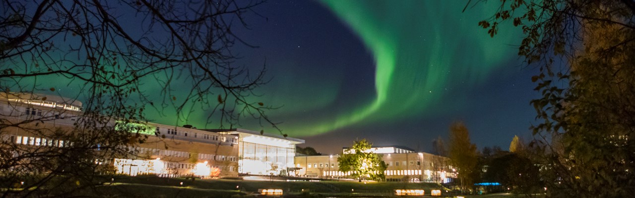 Bild på Norrsken över campus