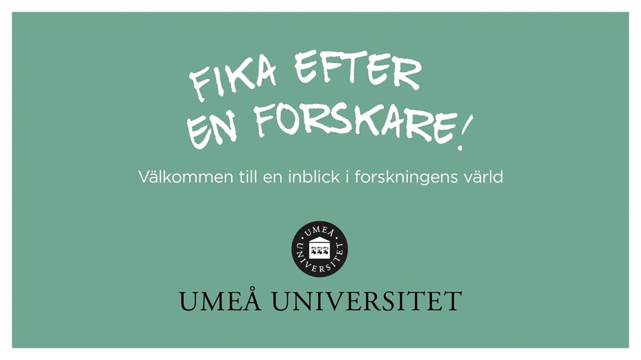 Film: Aggressiv prostatacancer – unik behandling utforskas