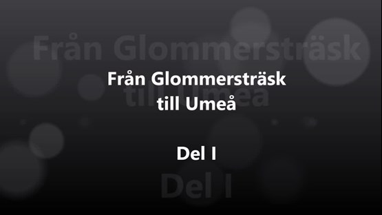 Film: Del 1