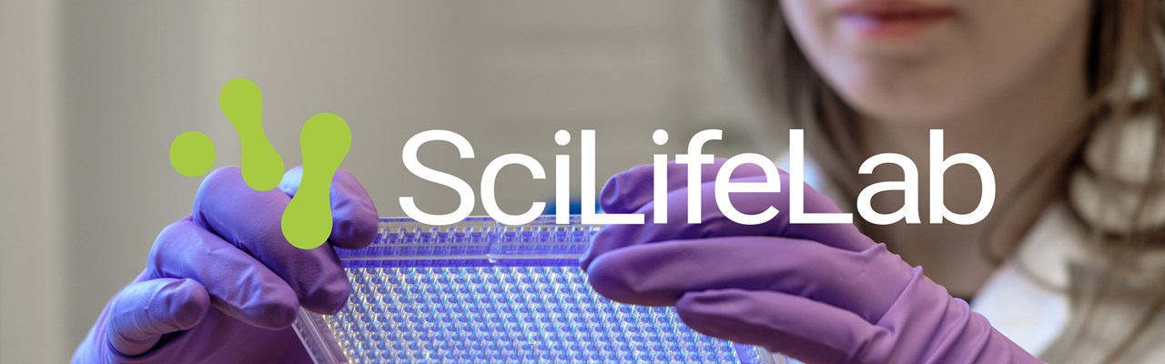 En kvinna i labbrock och lila handskar håller i en mikrochick