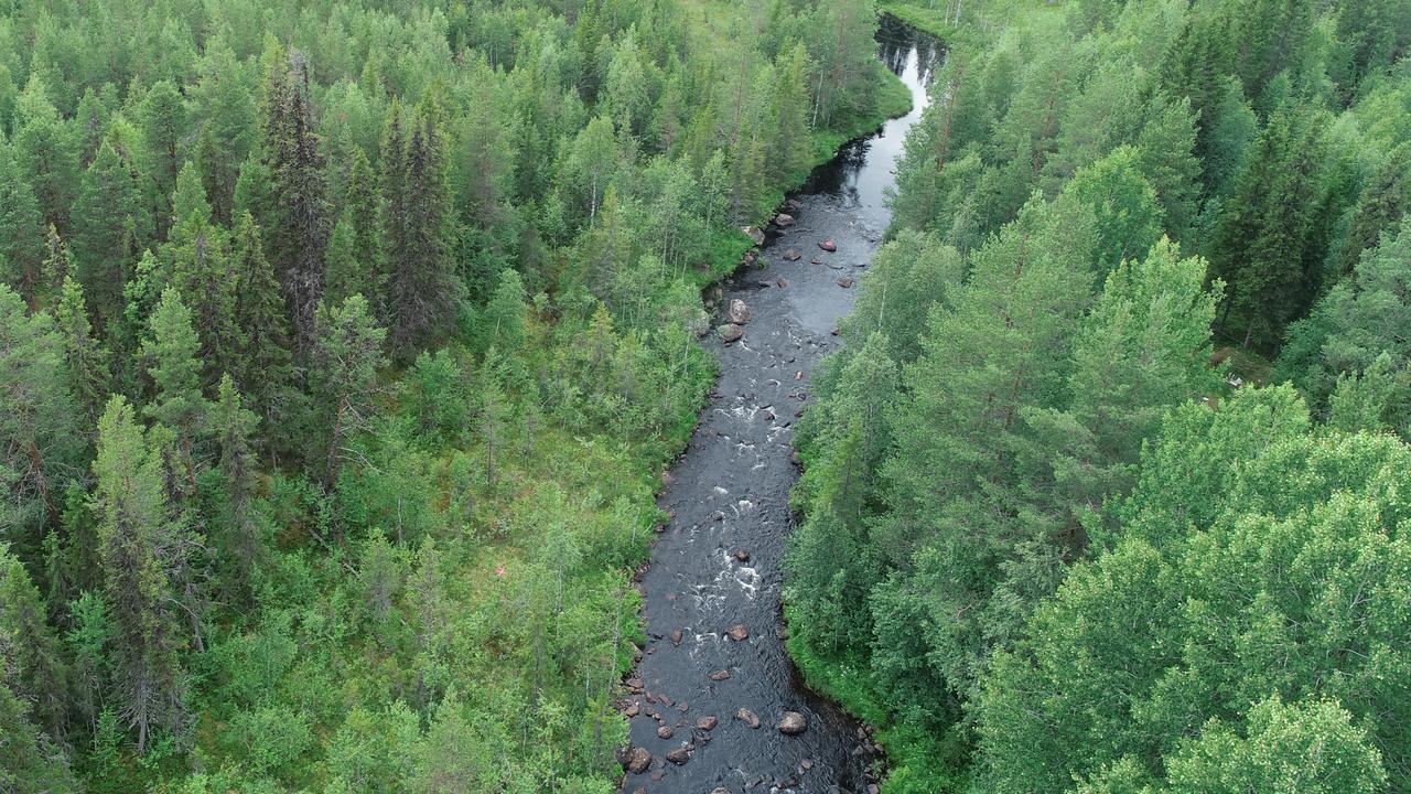 En älv som rinner genom skogen