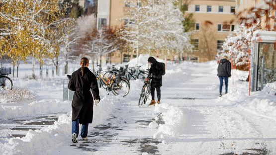 Umeå campus i snö