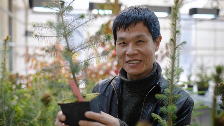 Porträtt av Jian-Feng Mao i ett växthus där han håller en kruka med en ung tall i händerna.