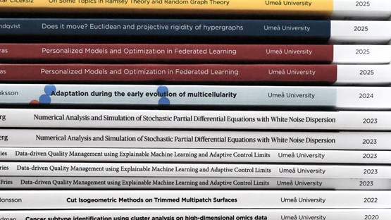 En stapel av doktorsavhandlingar i matematik och matematisk statistik vid Umeå universitet. Bokryggarna visar titlar, författarnamn och årtal, med färger som varierar mellan vitt, svart, blått, grått och rött.