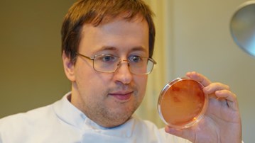 Man som tittar på en petriskål