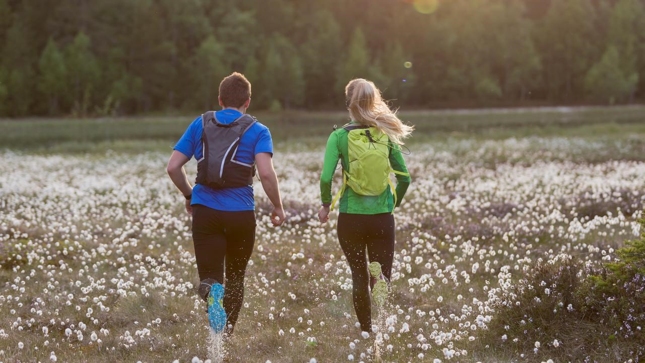 Ett par löptränar på en äng.