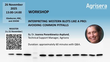 Announcement of a workshop