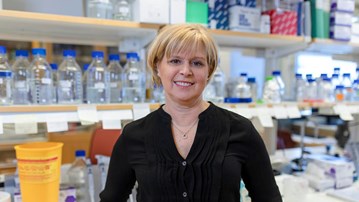 Anna Arnqvist lab