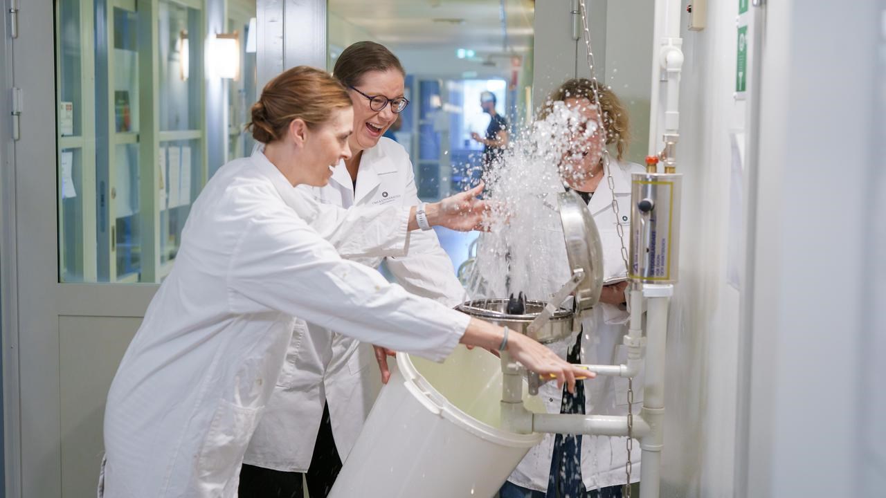 Arbetsmiljöombud UCMR