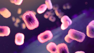 mpox virus