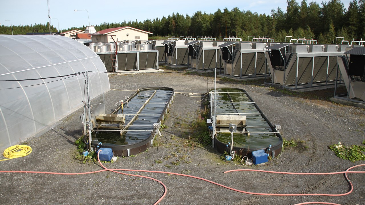 Två mindre bassänger utomhus.