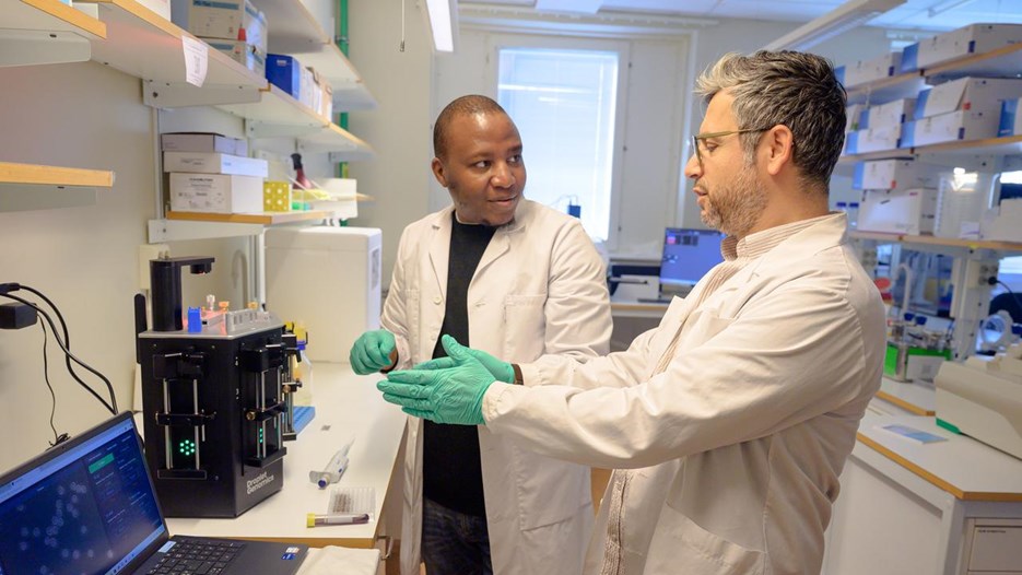 Joram Waititu och Kemal Avican arbetar tillsammans i ett labb