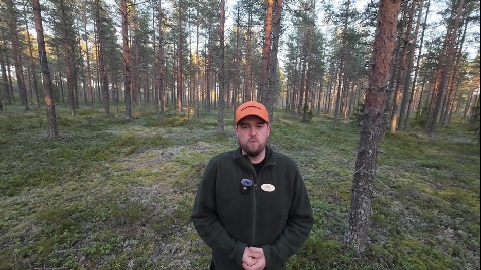 Film: Introduktion till svamp, vilka är ätbara och var finns de? 
