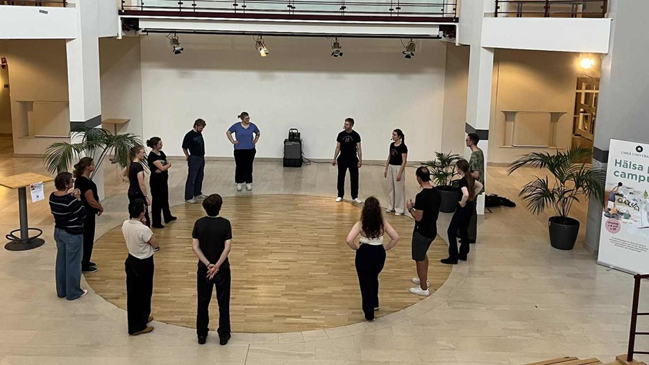 en samling av människor