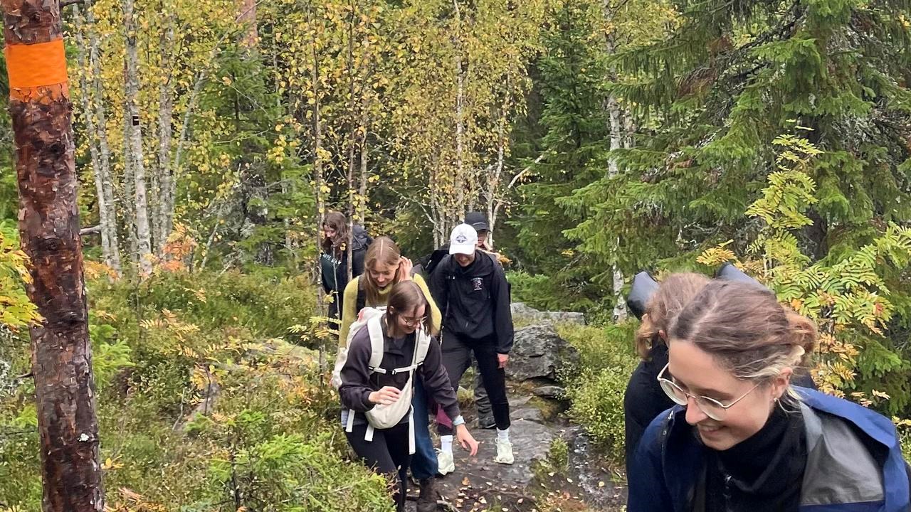 Vandring i skogen.