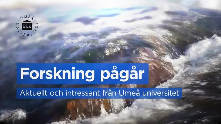 Film: Möt våra forskare – akvatisk biogeokemi