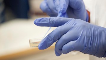 Renstrykning av bakteriekultur på agarplatta