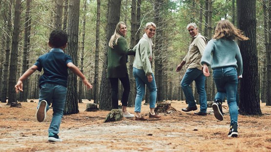 En skogsmaskin som lyfter trädstam i skogen