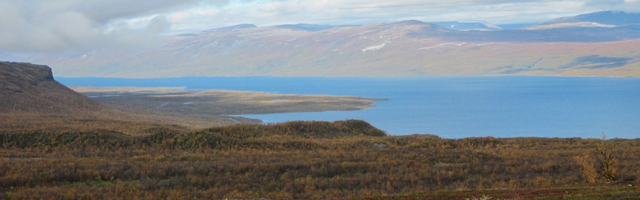 Bild från Torneträsk