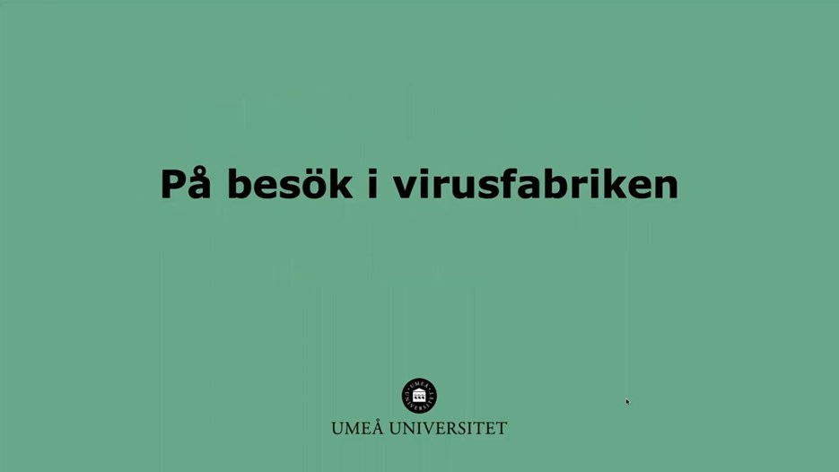 Film: På besök i virusfabriken