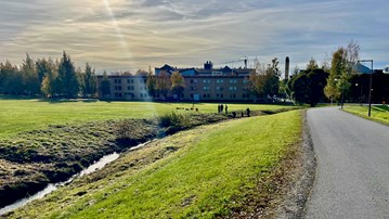 View of Umeå university with forest in the background