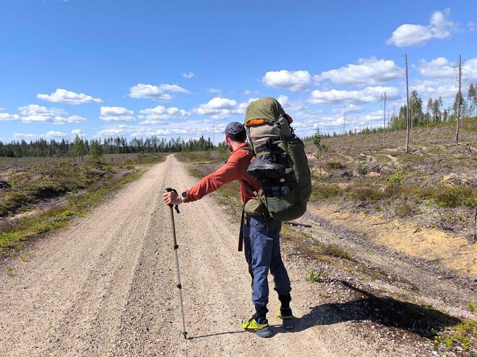 Man på grusväg omgiven av kalhygge med vandringspinne i hand