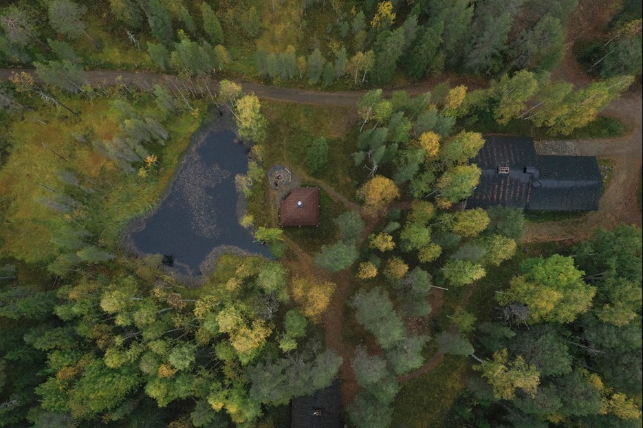 Flygbild över liten liten stuga i barrskog