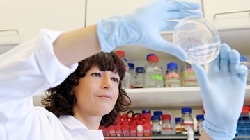 The fifth call for EC postdoctoral projects for PIs