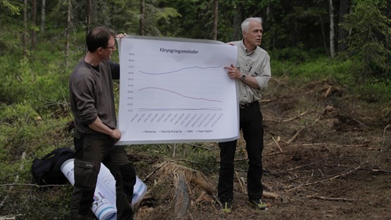 Future Forests