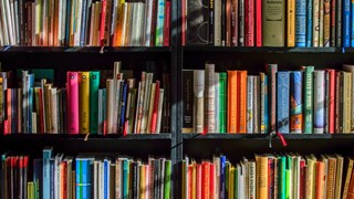A bookshelf with books in different colours