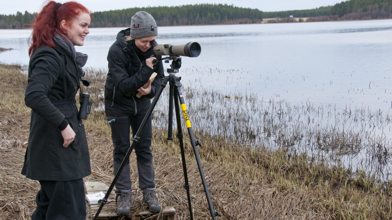 Biologistudenter på fågelskådning