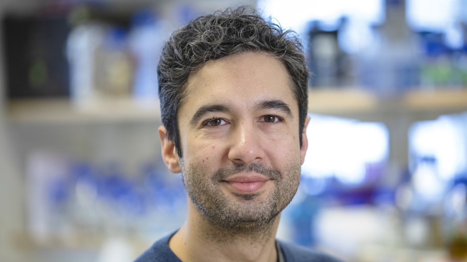 Film: Unearthing bacterial cell wall diversity in the search for new antibiotics