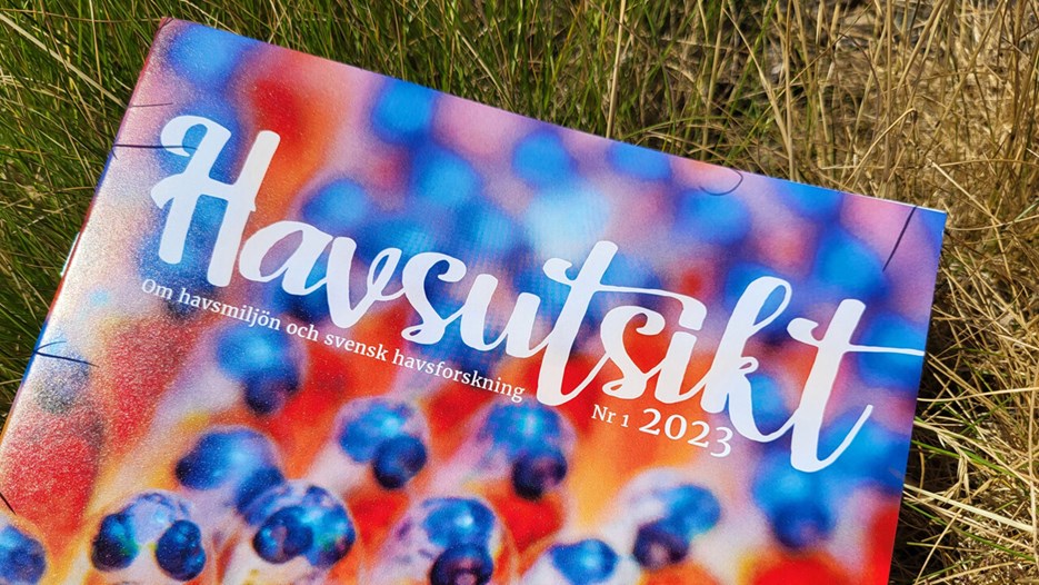 bild på omslag Havsutsikt