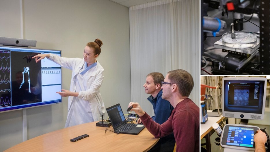 Biomedical Engineering and the practical skills that the programme will give, you will have great opportunities in various areas of work