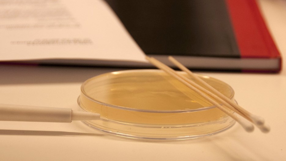 Bild på anteckningar och petriskål