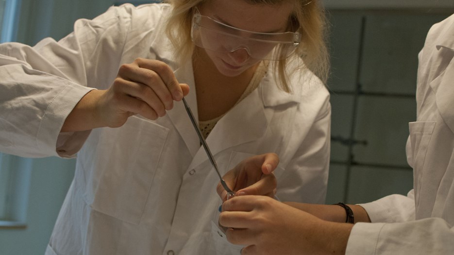 Bild på studenten Isabelle Davour