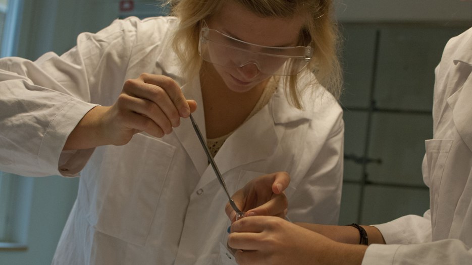 Bild på studenten Isabelle Davour