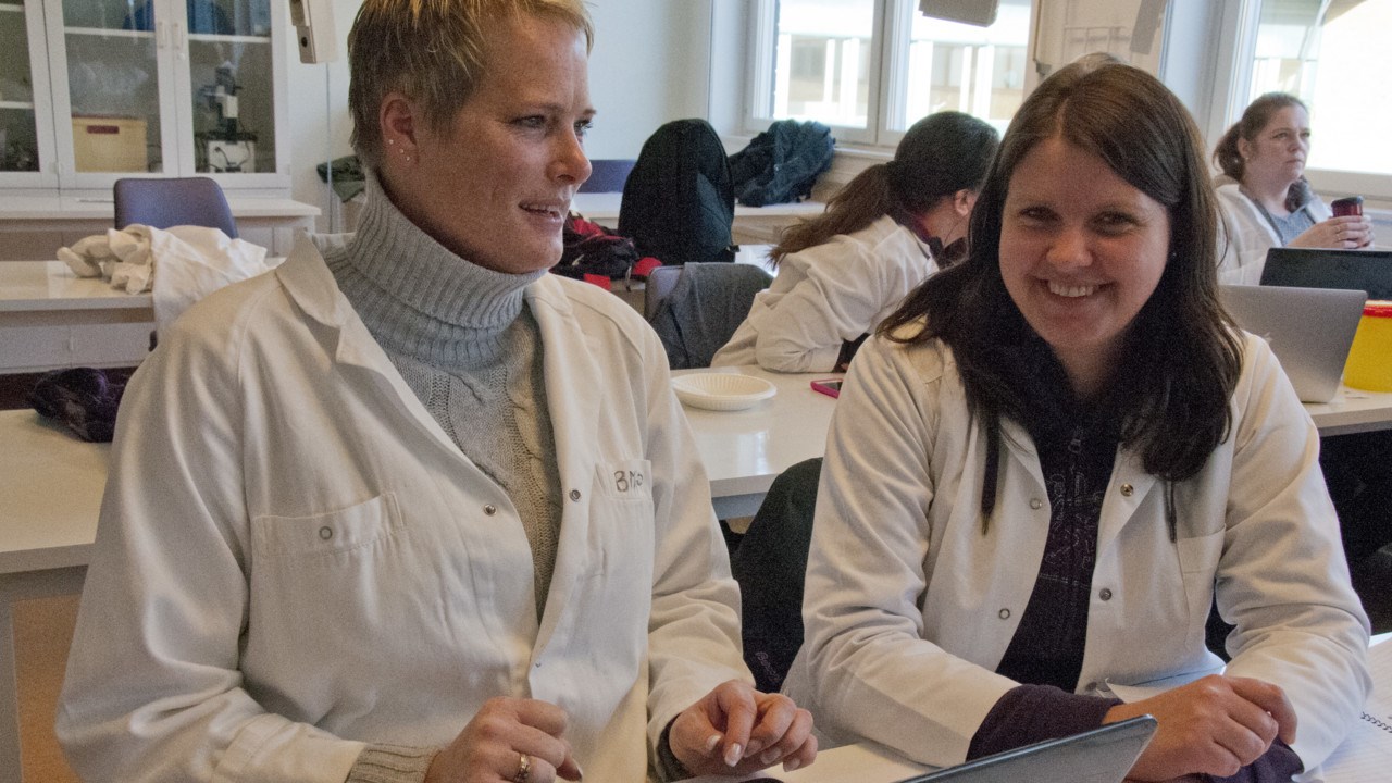 Laboration på receptarieprogrammet